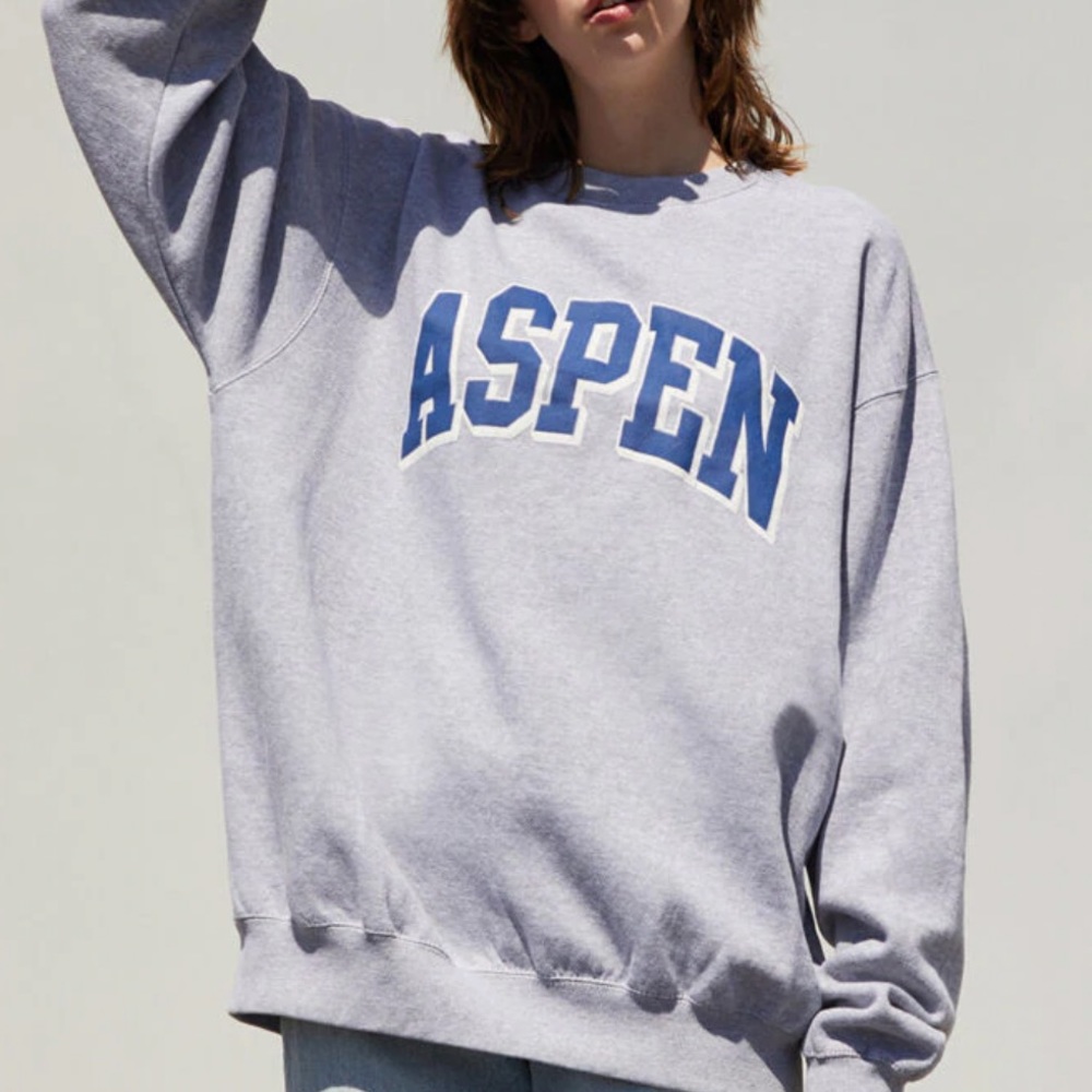 Brandy Melville Aspen Oversized Crew Neck